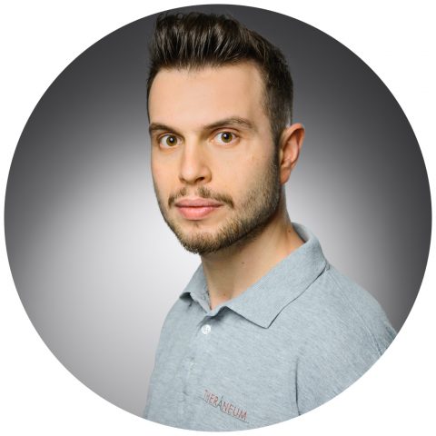 Dimitrios O.-Litskas